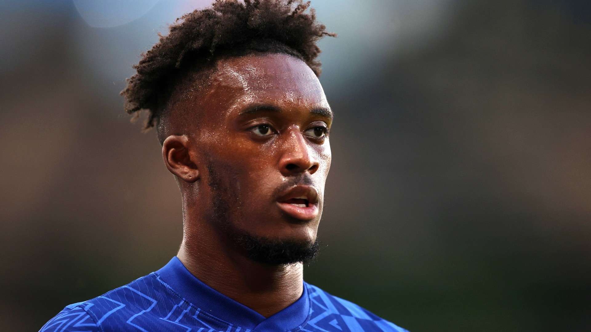 众多免费直 众多免费直